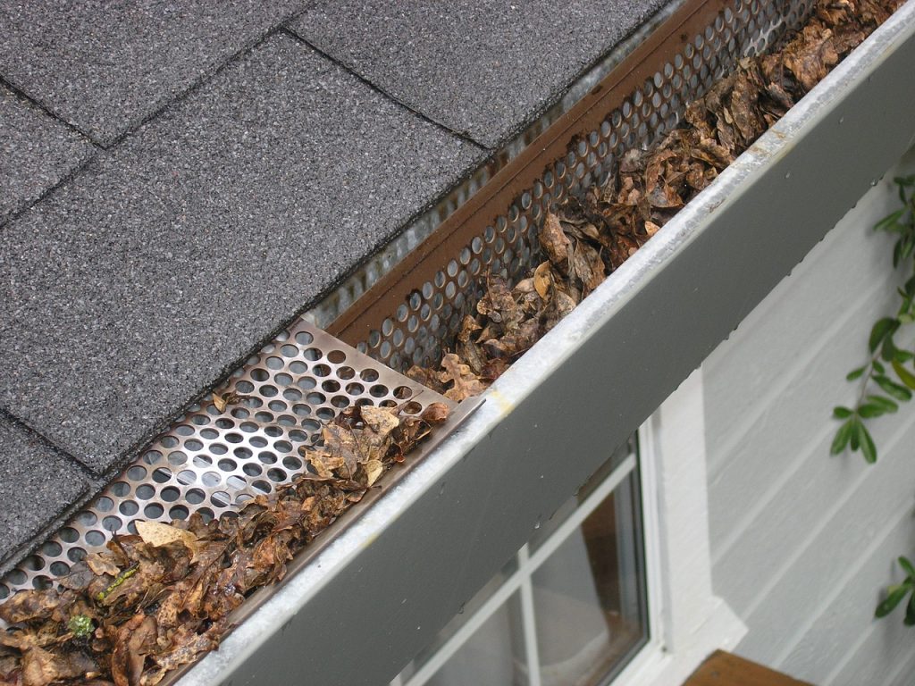gutter-guard-ipswich-gutter-protection-ipswich-gutter-covers-ipswich-2434467 gutter guard ipswich, gutter protection ipswich, gutter covers ipswich-2434467.jpg